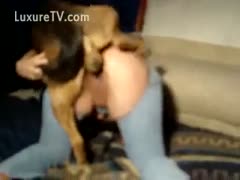Woman has cut a gap into her her jeans to fuck her dog